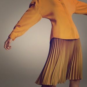 Aritzia Babaton Ombré Westin Skirt